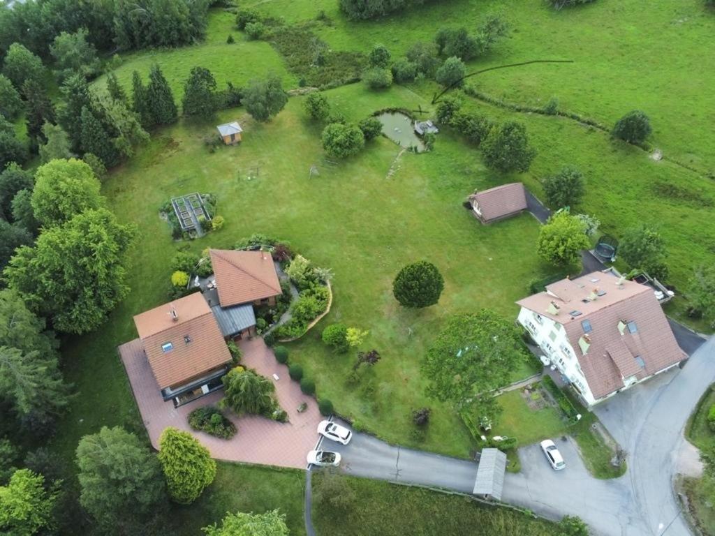※ Residence Pomme De Pin - Terrasse - Nature ※ Xonrupt-Longemer Eksteriør billede