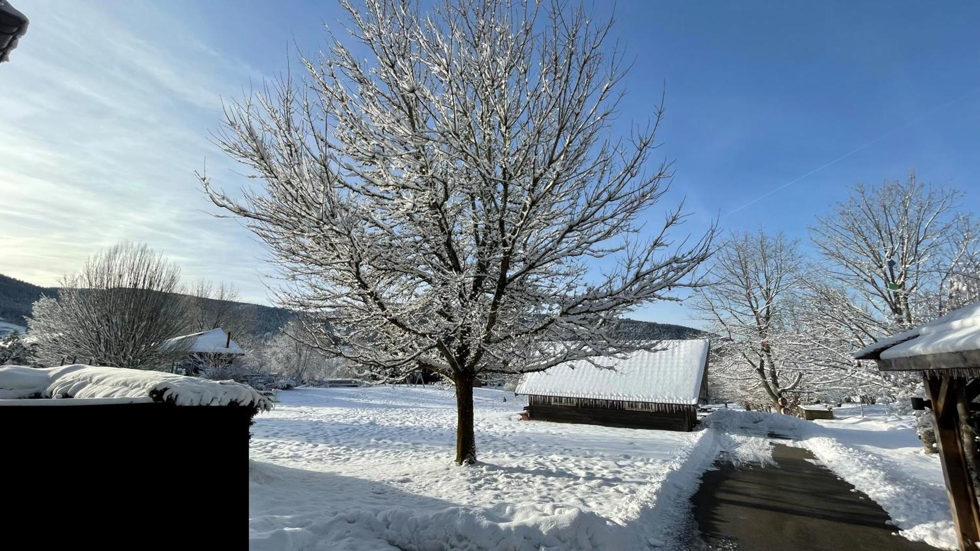 ※ Residence Pomme De Pin - Terrasse - Nature ※ Xonrupt-Longemer Eksteriør billede